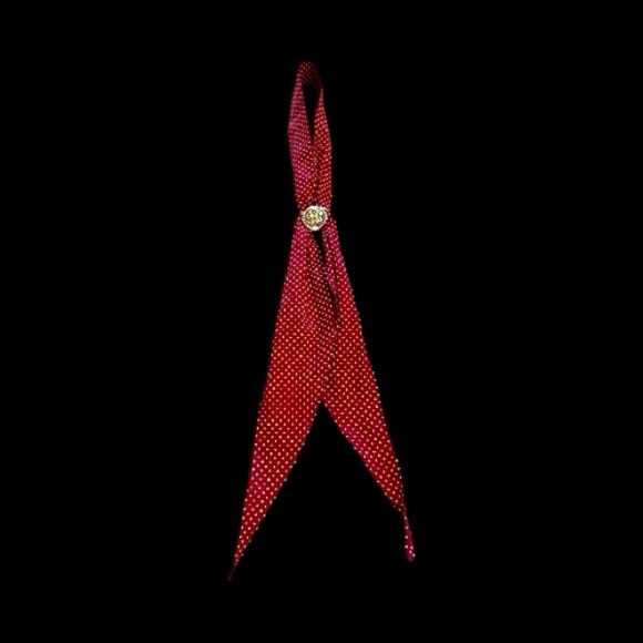 BOLO TIE & 1 1/4”, ROUND, SILVER/GOLD SCARF SLIDER. 48” SCARF IS DEEP RED COLOR - Picture 4 of 10